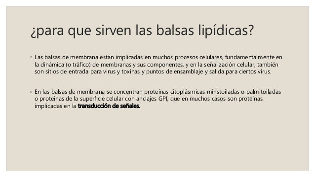 balsas lipidicas